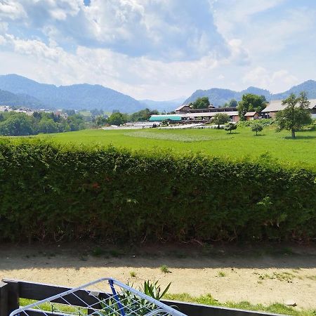 Apartma Julia Spodnje Gorje エクステリア 写真