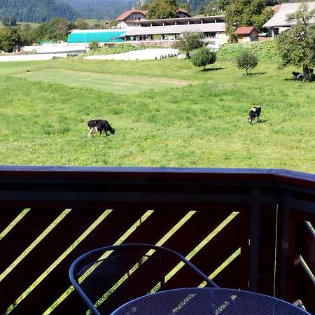 Apartma Julia Spodnje Gorje エクステリア 写真