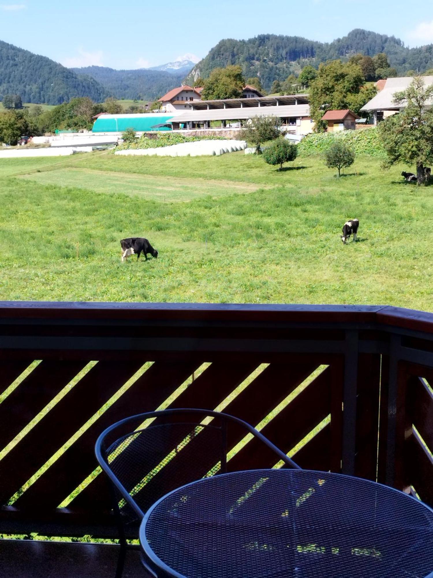 Apartma Julia Spodnje Gorje エクステリア 写真